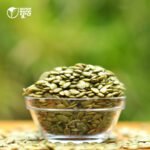 Pumpkin seed